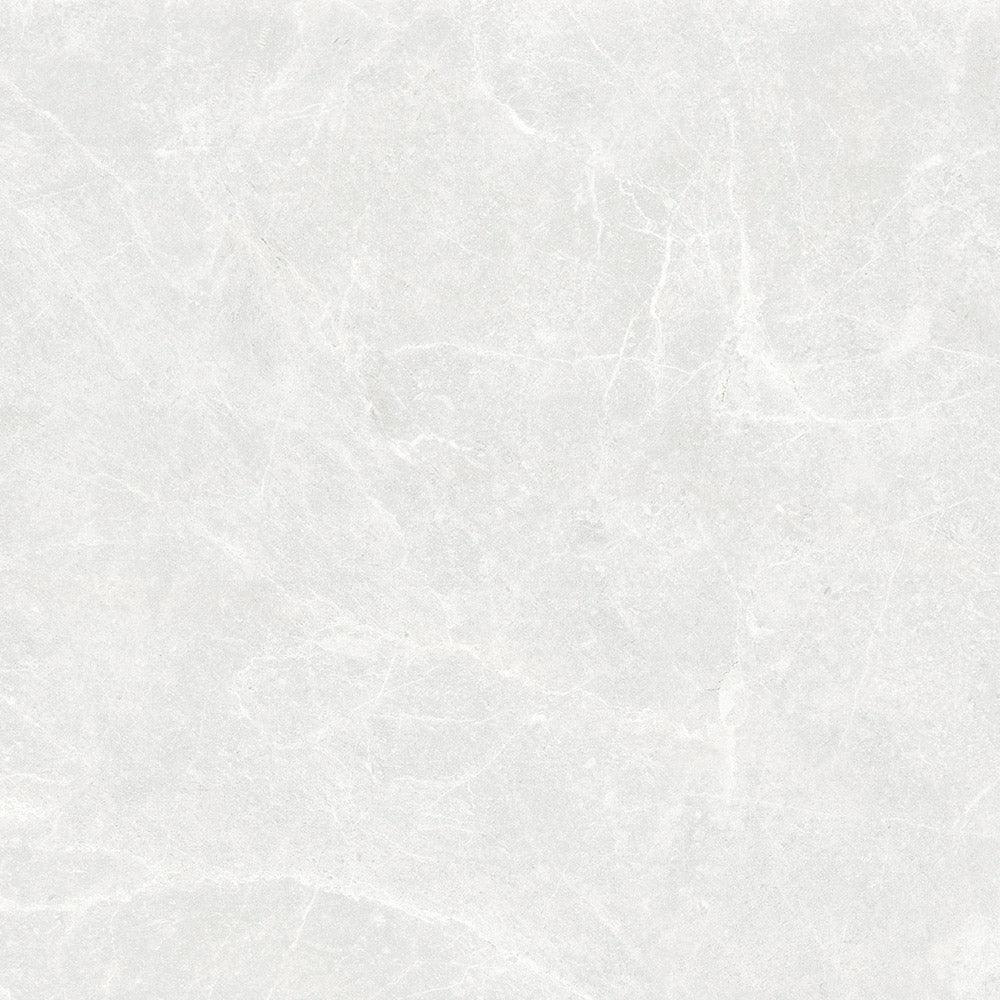 Charm Silver Ceramic Tiles tile