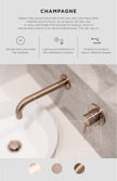 Round Hand Shower on Rail Column - Champagne