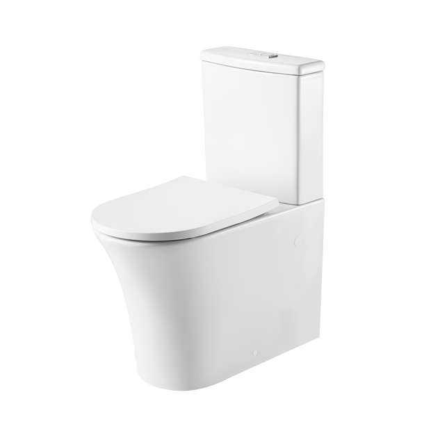 Dublin Back To Wall Toilet Suite