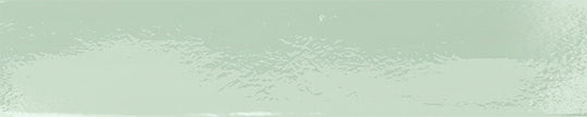 Mido Mint Glossy Subway Tiles tile