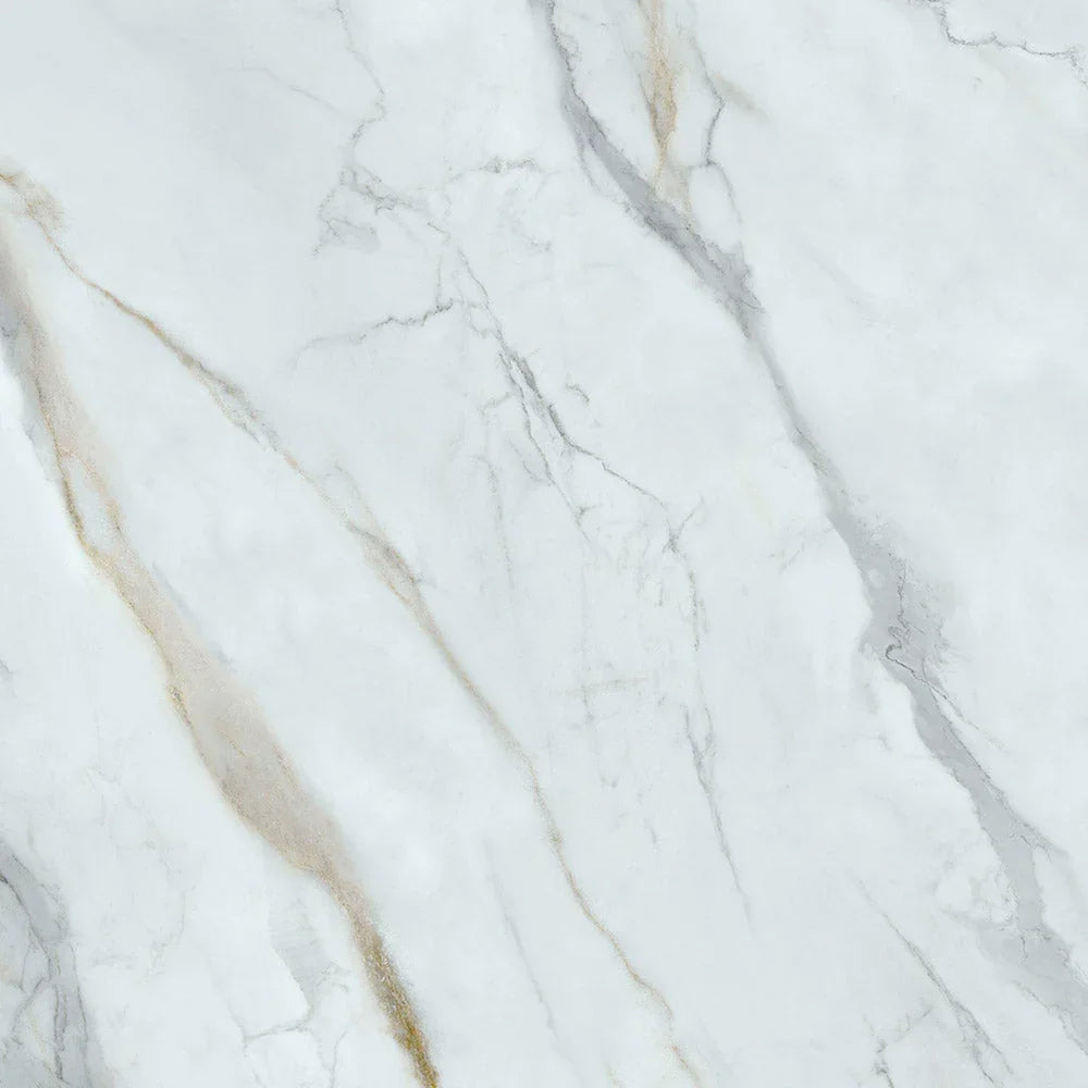 Executive Stone Calcutta Marble Look Porcelain Tiles tile