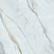 Executive Stone Calcutta Marble Look Porcelain Tiles tile