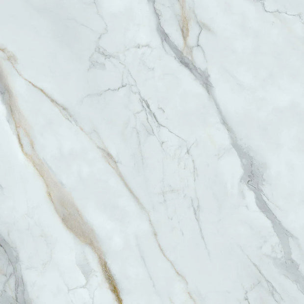 Executive Stone Calcutta Marble Look Porcelain Tiles tile