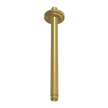 Park Lane 300mm Vertical Dropper in Brushed Gold
