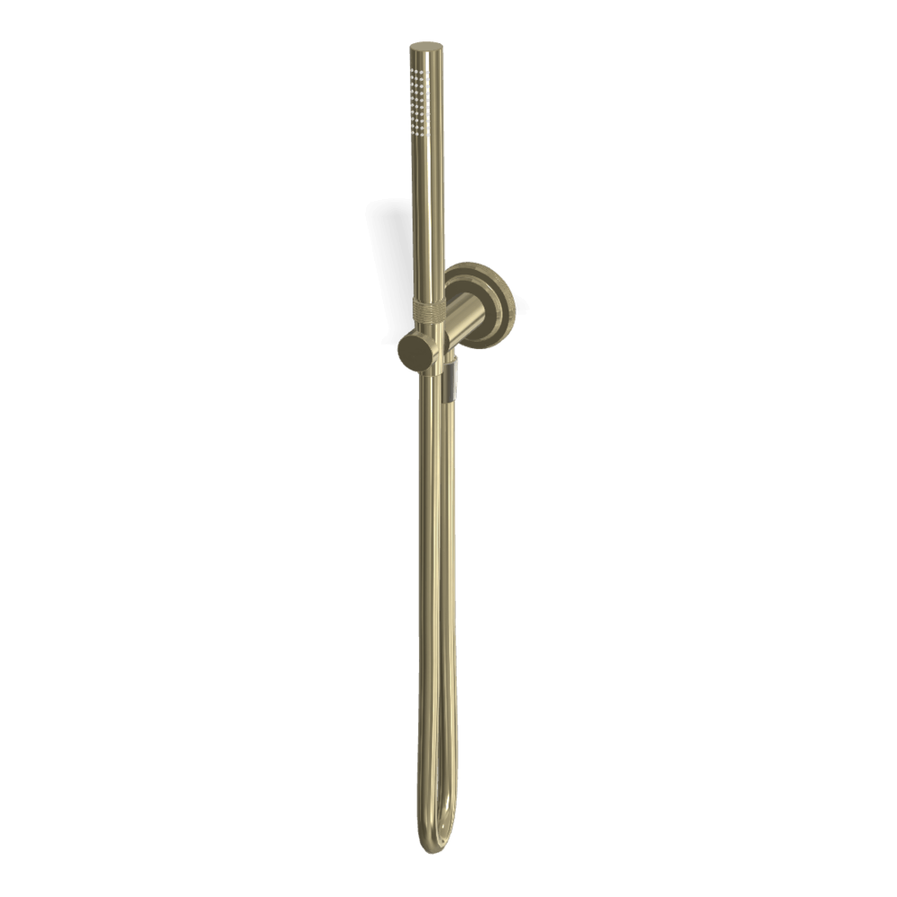 Park Lane Handshower Set in Champagne