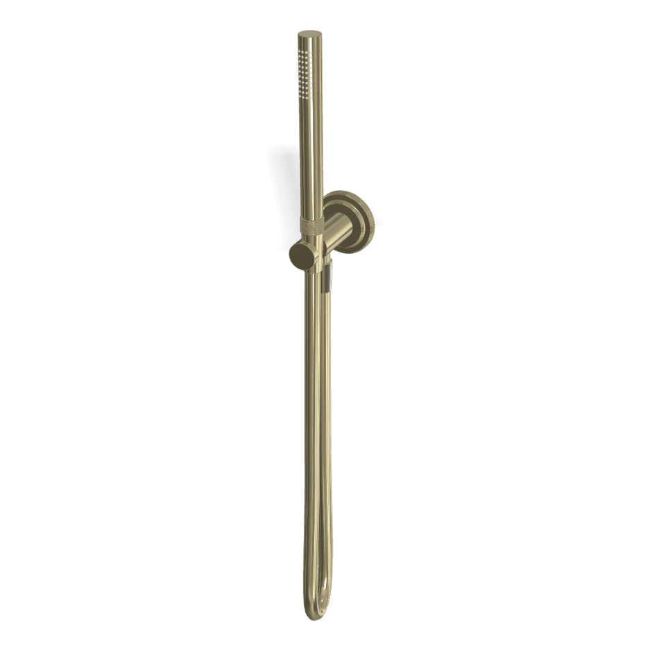 Park Lane Handshower Set in Champagne
