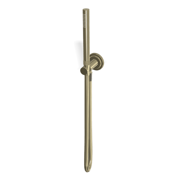 Park Lane Handshower Set in Champagne