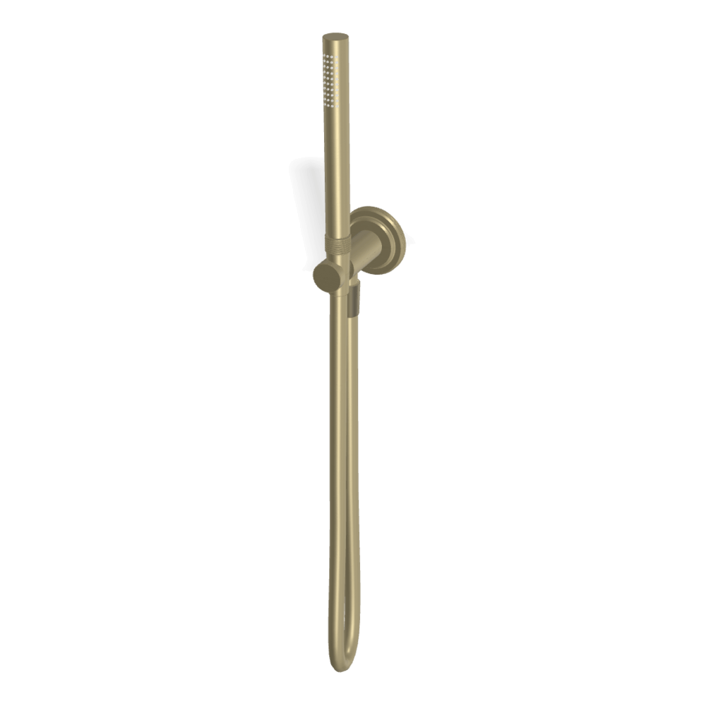 Park Lane Handshower Set in Brushed Champagne