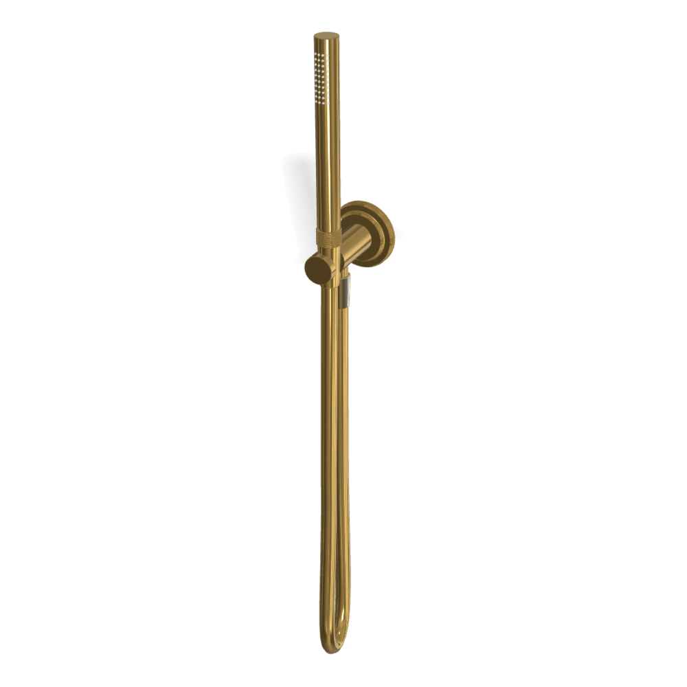 Park Lane Handshower Set in Gold