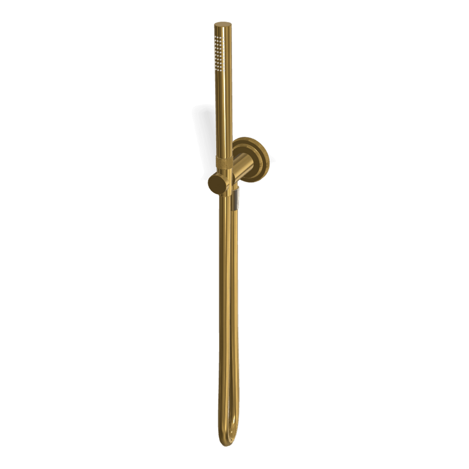 Park Lane Handshower Set in Gold
