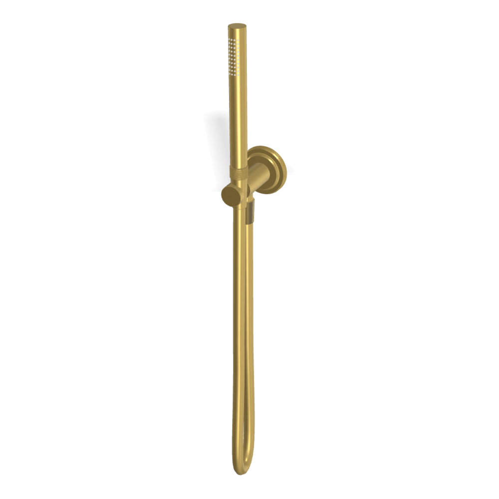 Park Lane Handshower Set in Brushed Gold