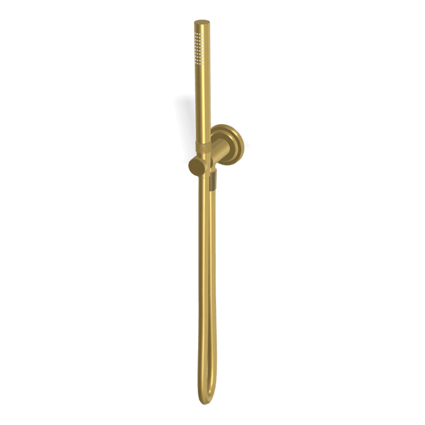 Park Lane Handshower Set in Brushed Gold