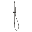 Wellness Cigar Shower on Rail in Black Chrome