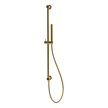 Wellness Cigar Shower on Rail in Gold
