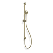 Wellness 3 Function Shower on Rail in Champagne