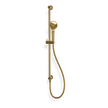 Wellness 3 Function Shower on Rail in Gold