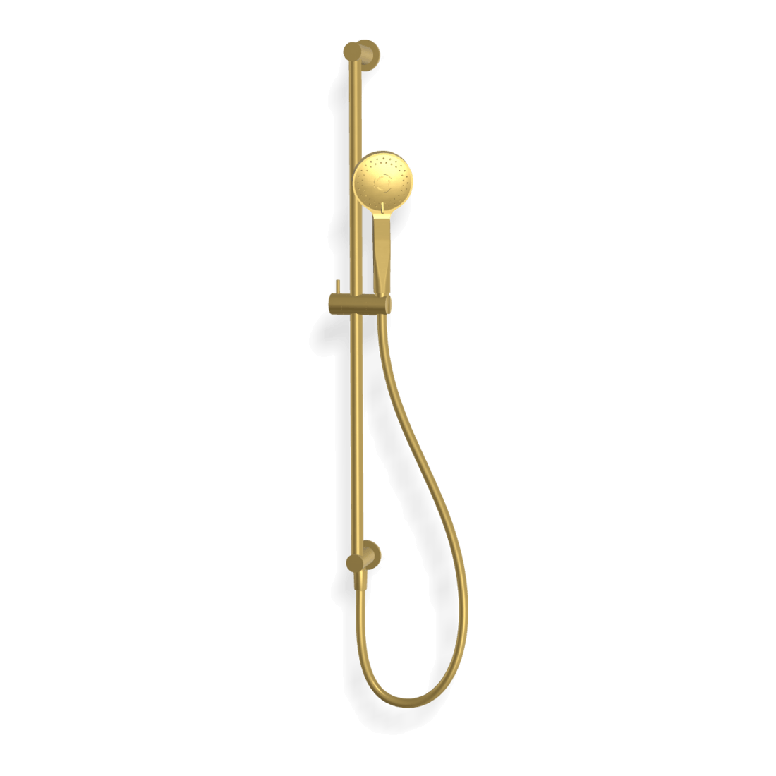 Wellness 3 Function Shower on Rail in Brushed Gold