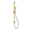 Wellness 3 Function Shower on Rail in Brushed Gold