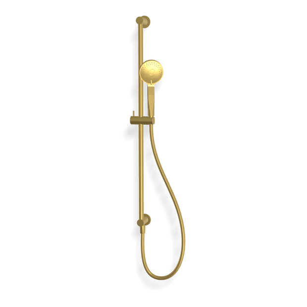 Wellness 3 Function Shower on Rail in Brushed Gold