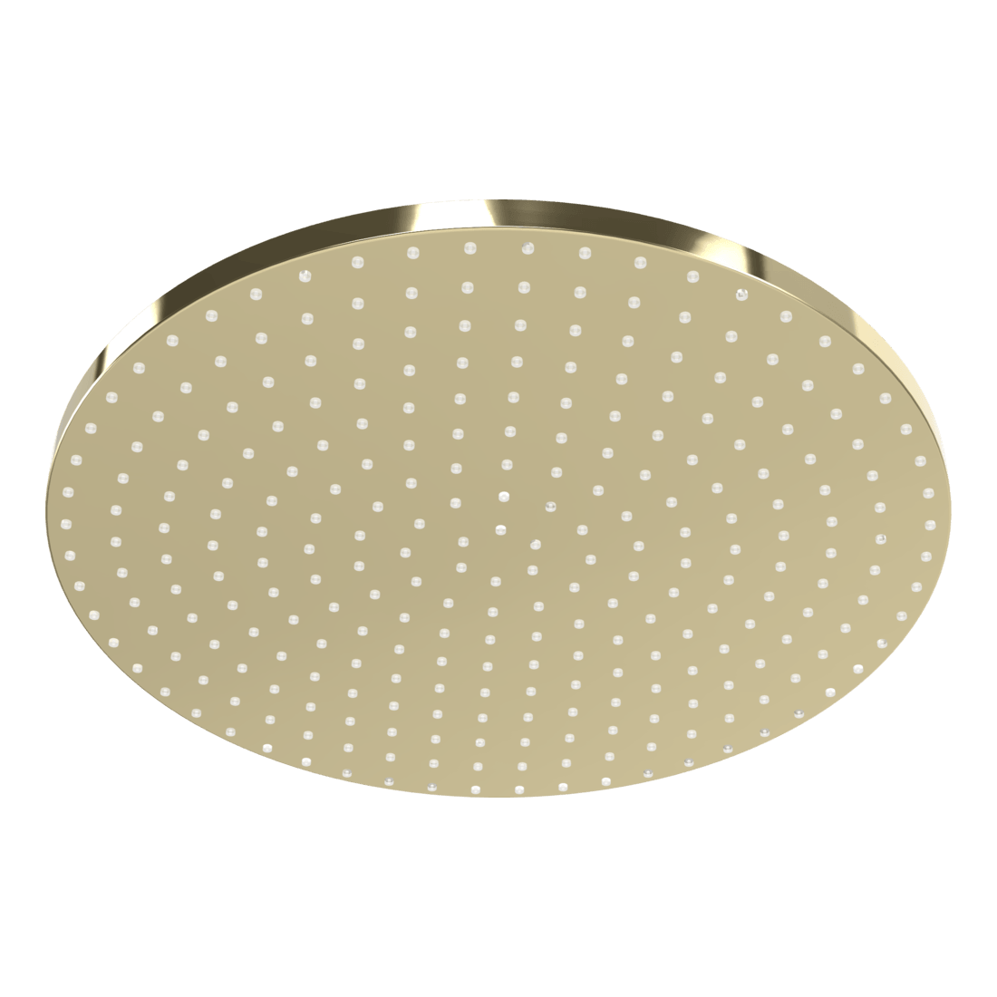 Wellness 250mm Showerhead in Champagne