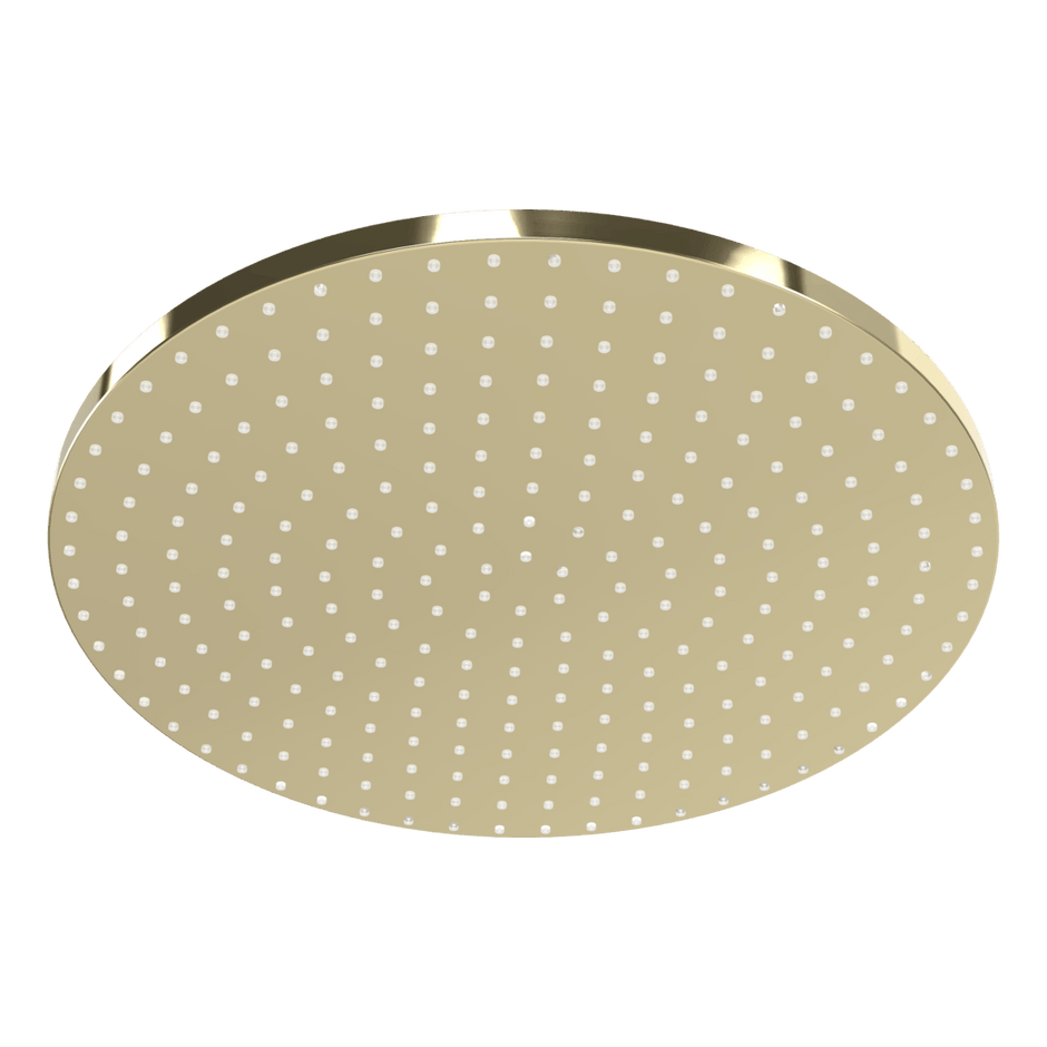 Wellness 250mm Showerhead in Champagne