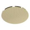 Wellness 250mm Showerhead in Champagne