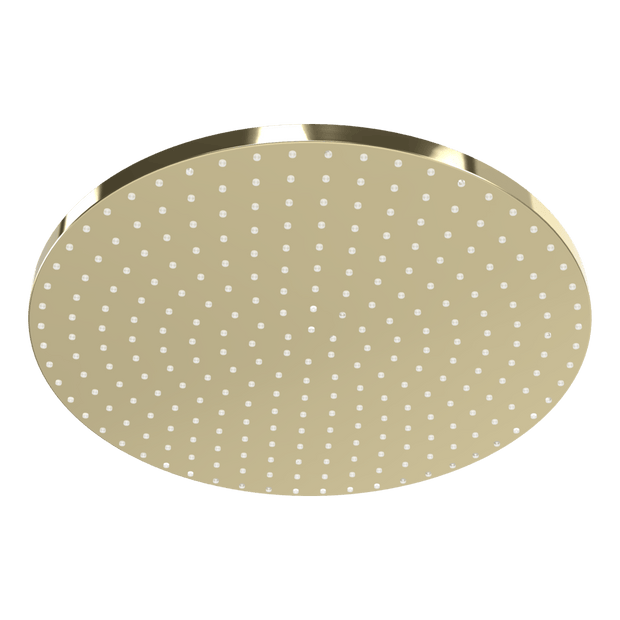 Wellness 250mm Showerhead in Champagne