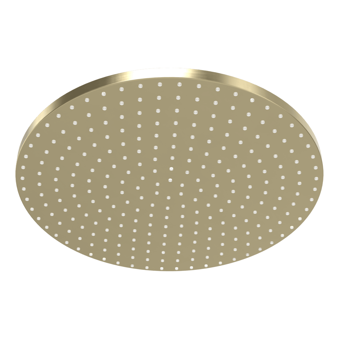 Wellness 250mm Showerhead in Brushed Champagne