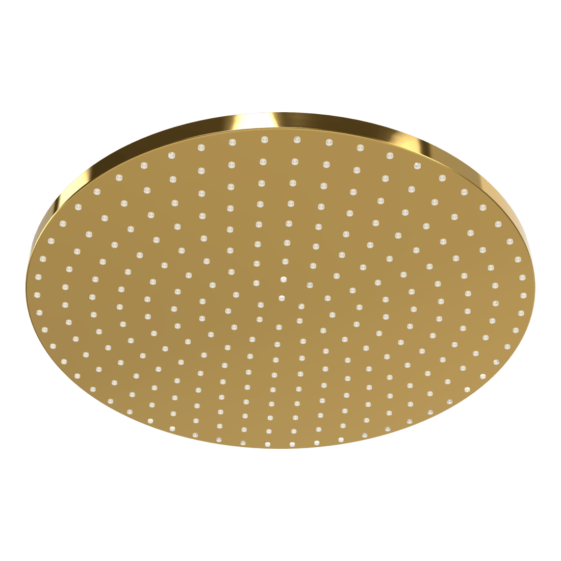 Wellness 250mm Showerhead in Gold