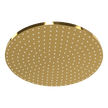 Wellness 250mm Showerhead in Gold