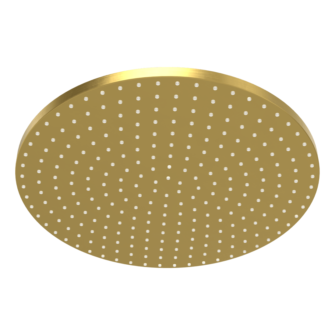 Wellness 250mm Showerhead in Brushed Gold