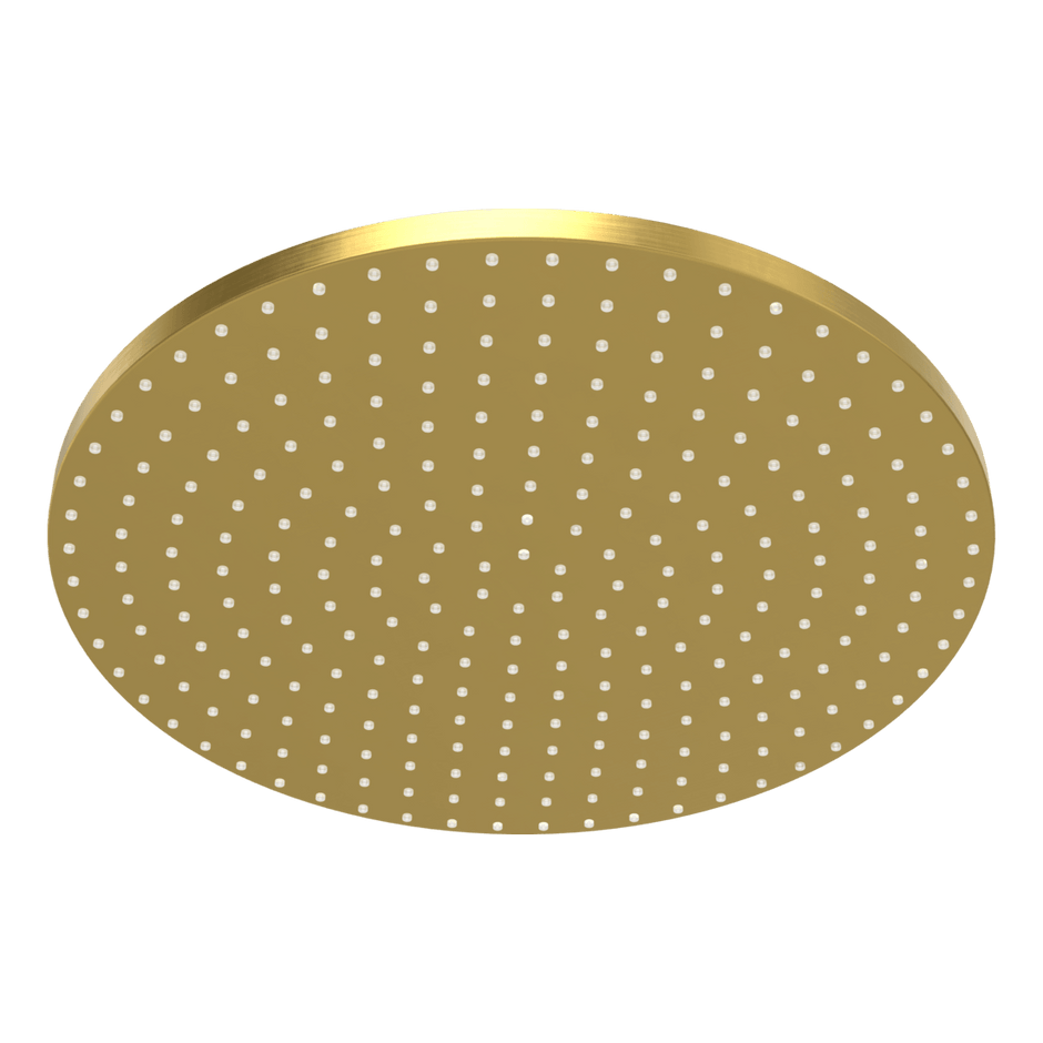 Wellness 250mm Showerhead in Brushed Gold