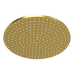 Wellness 250mm Showerhead in Brushed Gold
