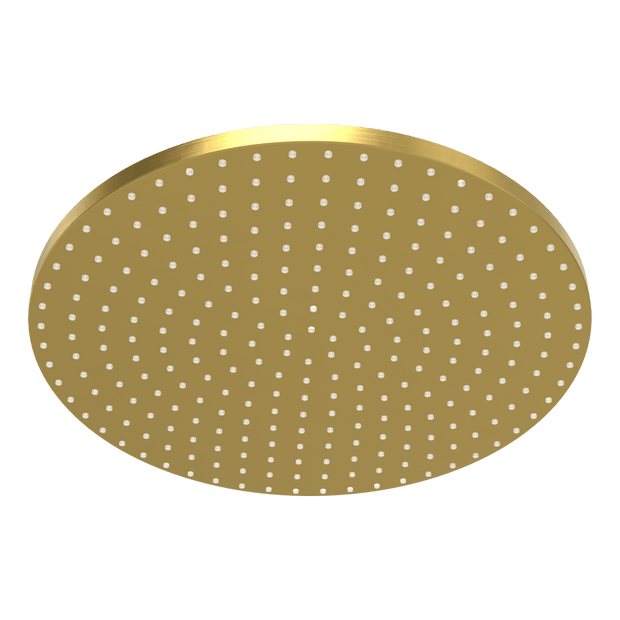 Wellness 250mm Showerhead in Brushed Gold