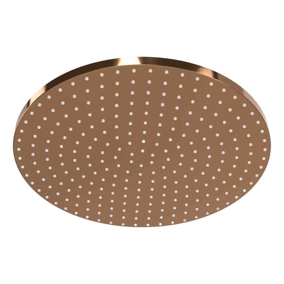 Wellness 250mm Showerhead in Amber Bronze