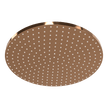 Wellness 250mm Showerhead in Amber Bronze