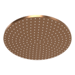 Wellness 250mm Showerhead in Brushed Amber Bronze
