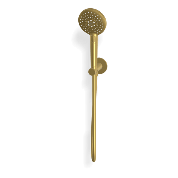 Wellness 3 Function Handshower Set in Brushed Gold