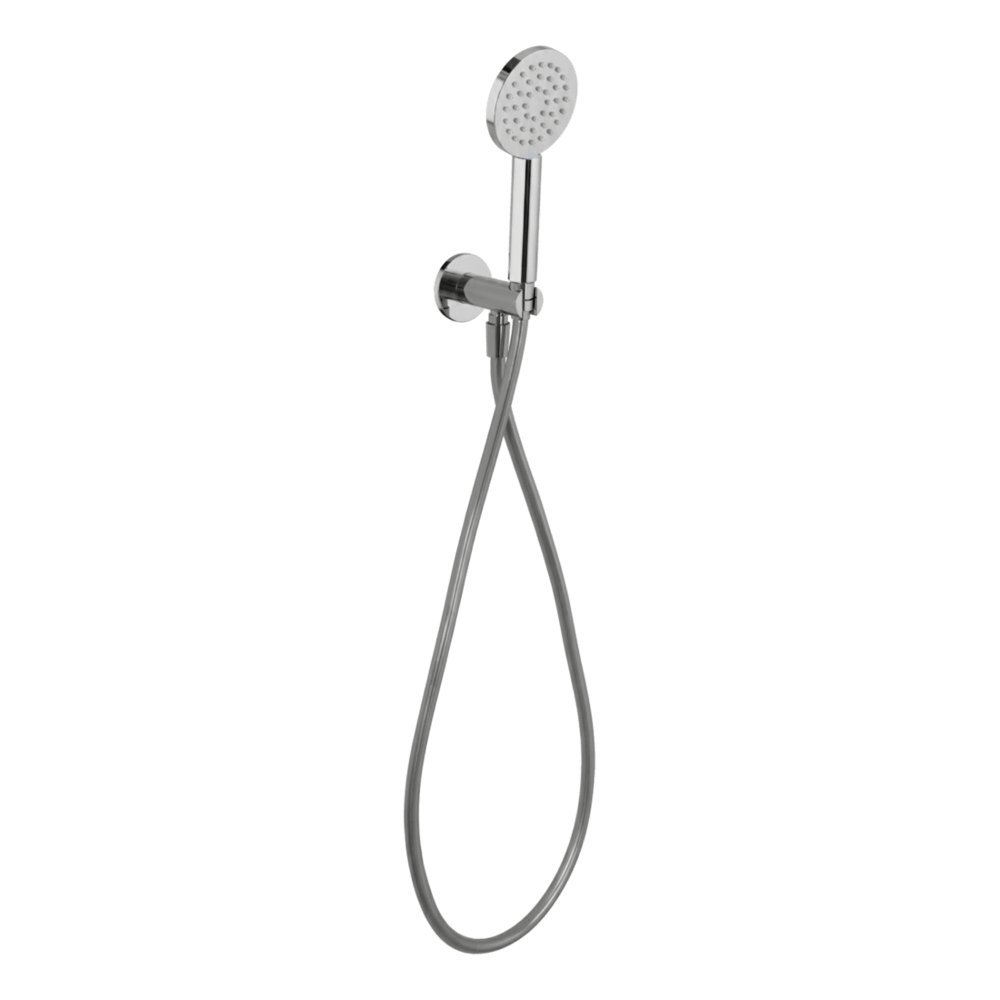 Wellness 1 Function Handshower Set in Brushed Gold