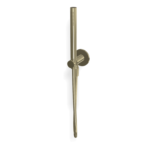 Wellness Cigar Handshower Set in Champagne