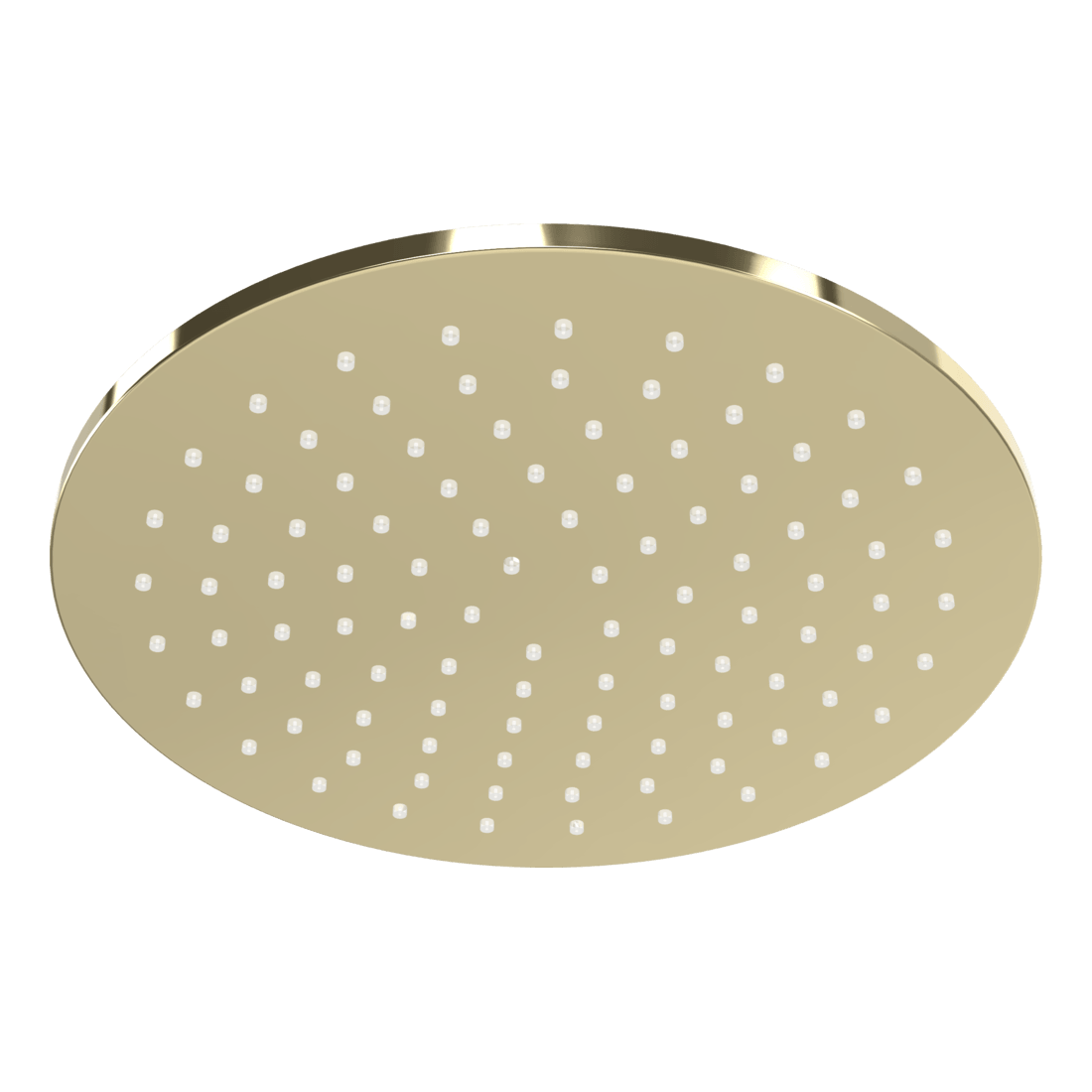 Wellness 250mm Showerhead in Champagne