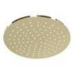 Wellness 250mm Showerhead in Champagne