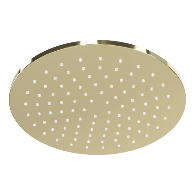 Wellness 250mm Showerhead in Champagne