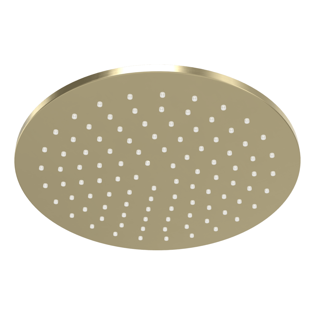 Wellness 250mm Showerhead in Brushed Champagne
