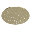 Wellness 250mm Showerhead in Brushed Champagne