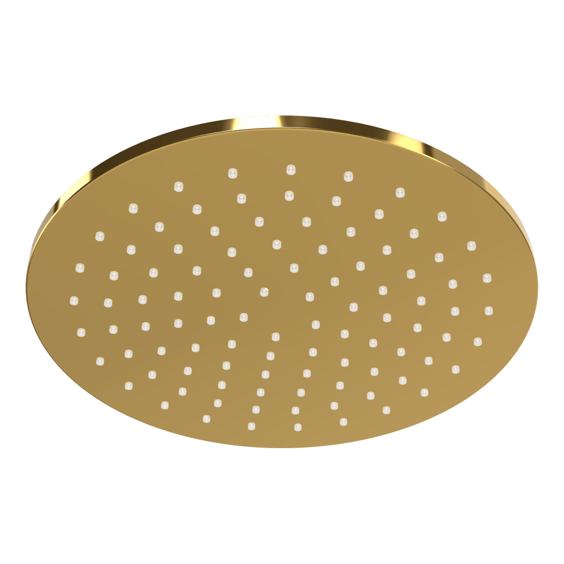 Wellness 250mm Showerhead in Gold