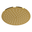 Wellness 250mm Showerhead in Gold