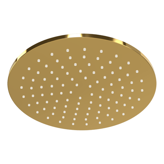 Wellness 250mm Showerhead in Gold