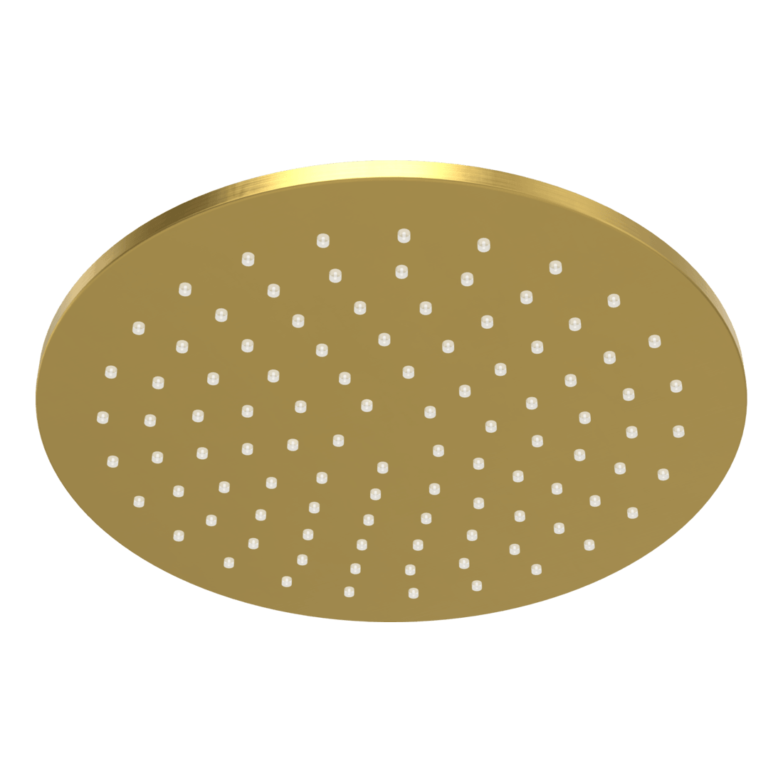 Wellness 250mm Showerhead in Brushed Gold