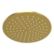 Wellness 250mm Showerhead in Brushed Gold